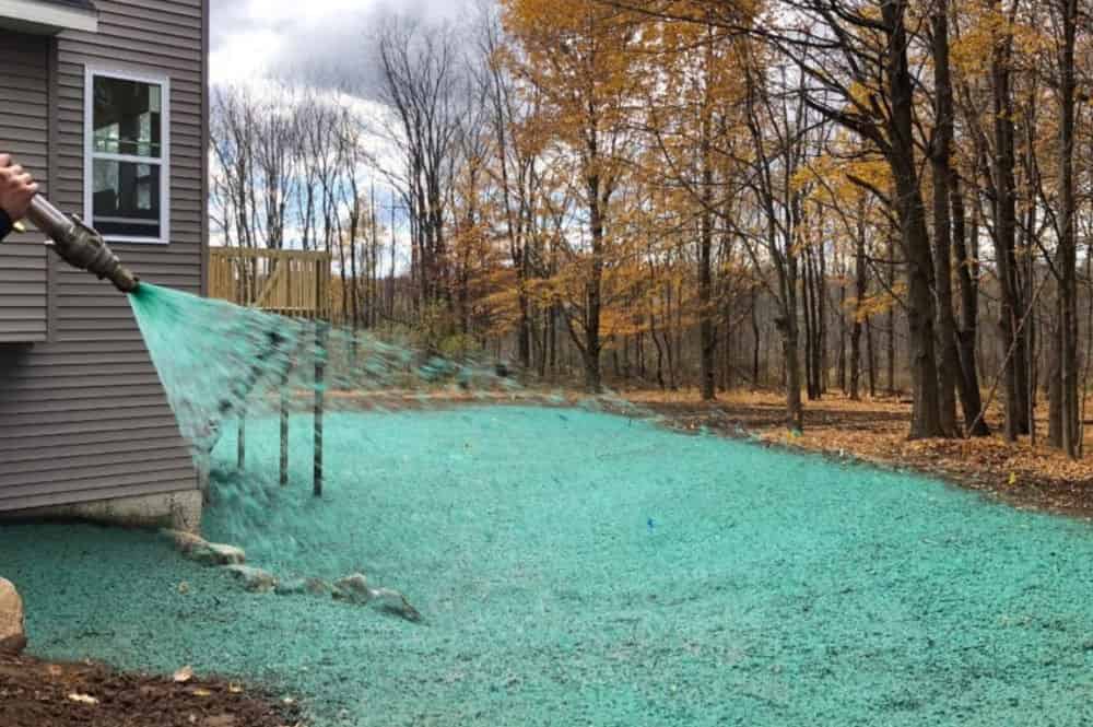 Lawn Hydroseeding image