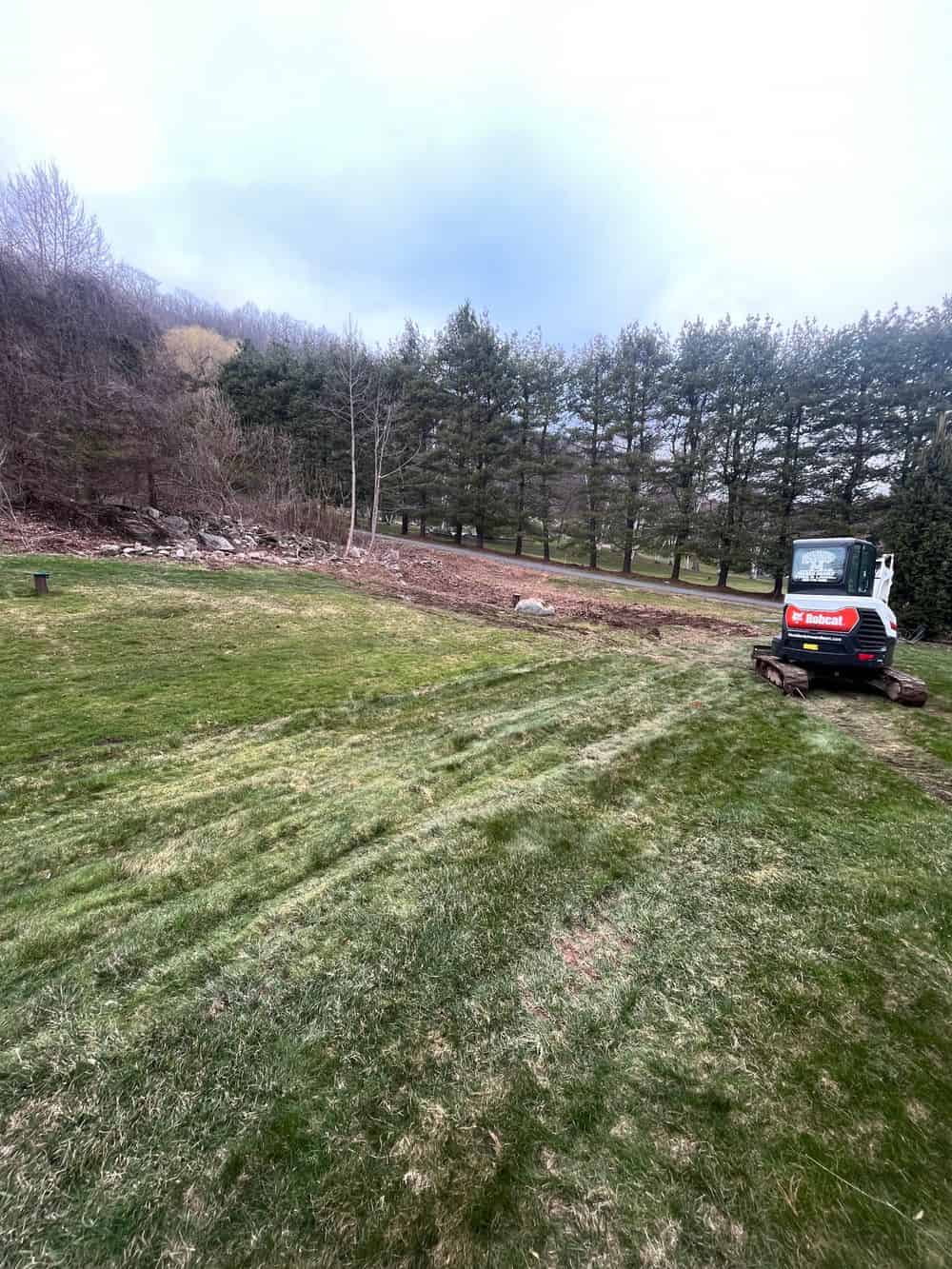 Land Clearing image