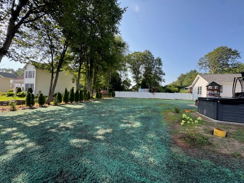 Transform Your Yard with Our Expert Hydroseeding image