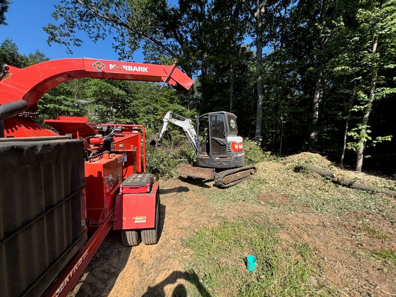 Transformative Land Clearing in Southington CT image