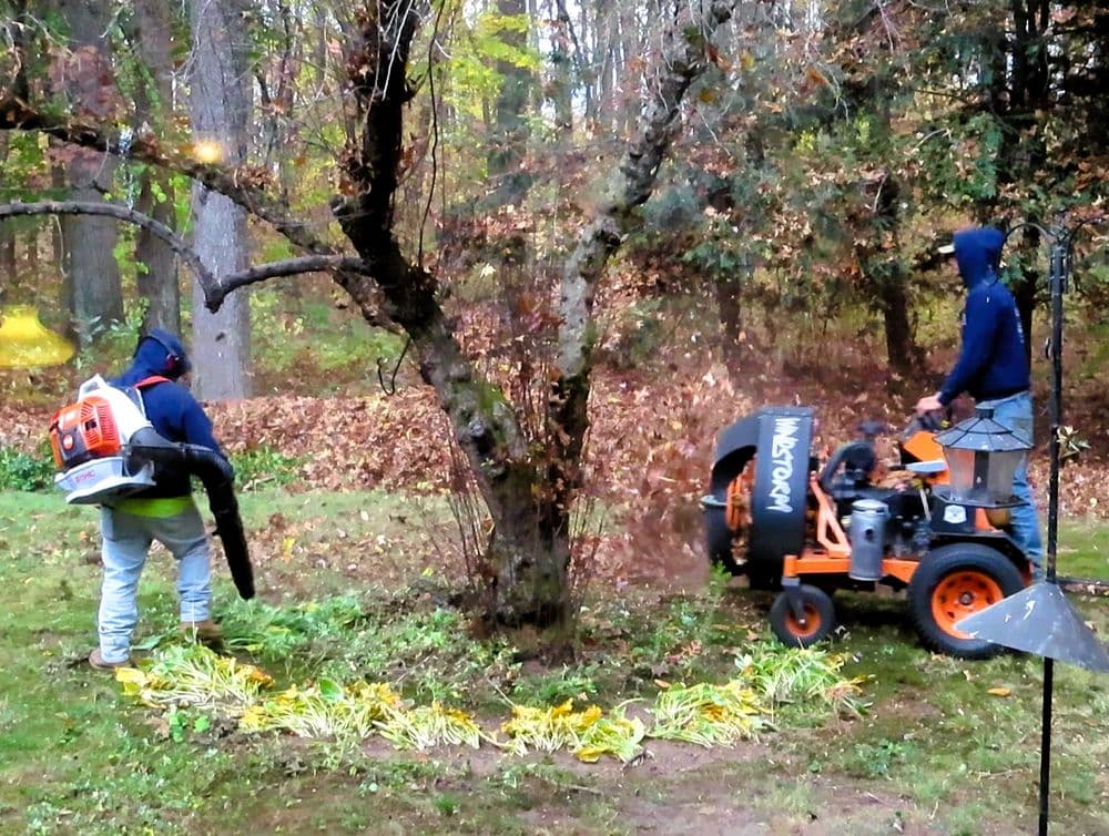 Landscapers using a leaf blower and lawn mower to maintain a garden in autumn.