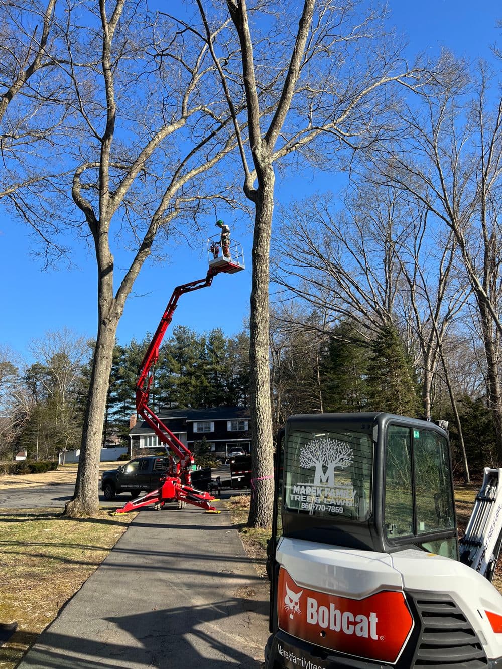 Tree trimming service using a lift in residential area with Bobcat machinery nearby.