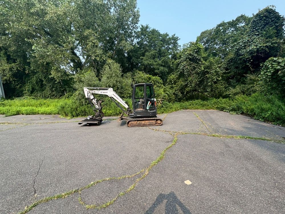 Excavator parked on overgrown asphalt surrounded by trees and foliage.