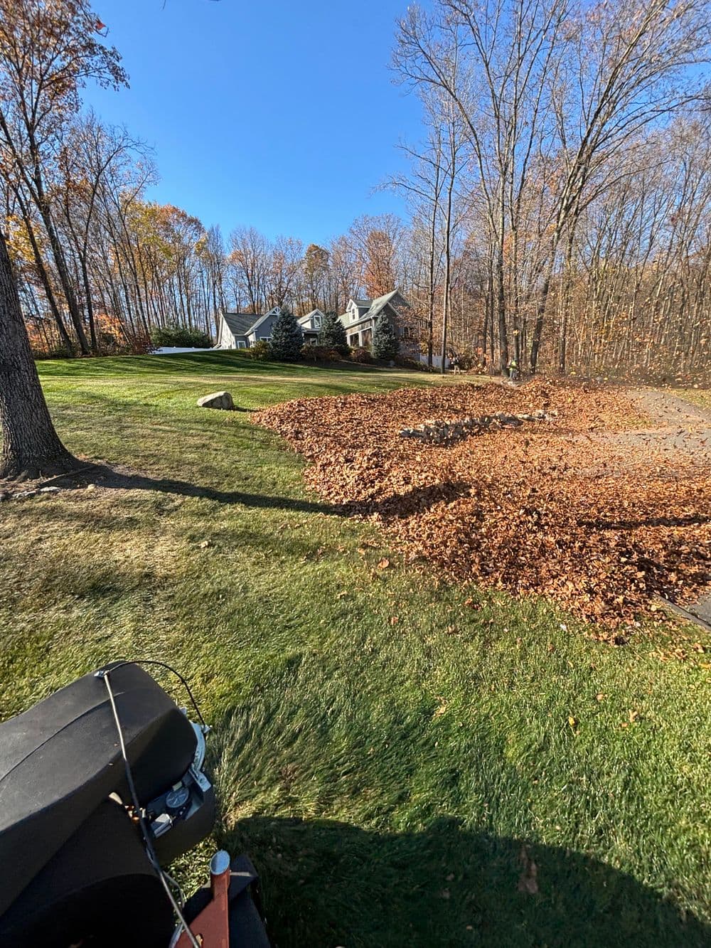 Lawn covered in autumn leaves with a house and wooded area in the background.