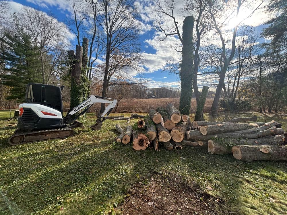 Excavator clearing fallen trees with logs stacked in a forested area under a cloudy sky.